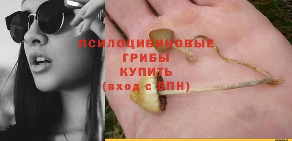 таблы Надым