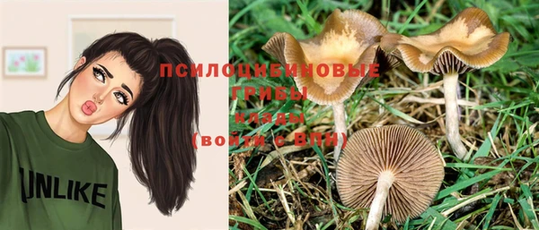 мдпв Наволоки