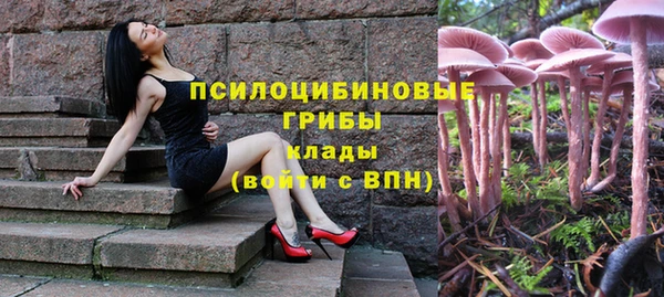 таблы Надым