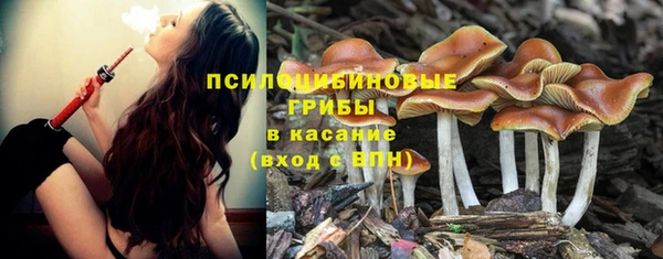 таблы Надым