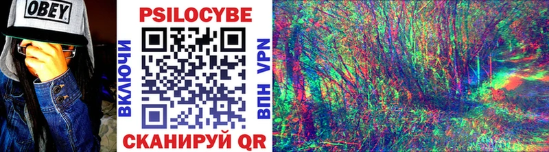 как найти наркотики  Туймазы  Псилоцибиновые грибы Psilocybe 