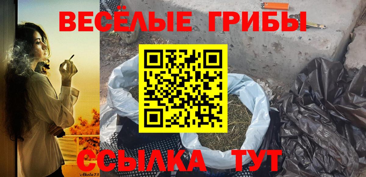 Галлюциногенные грибы GOLDEN TEACHER Туймазы