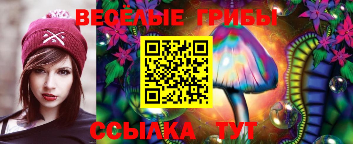 МЕФ Туймазы