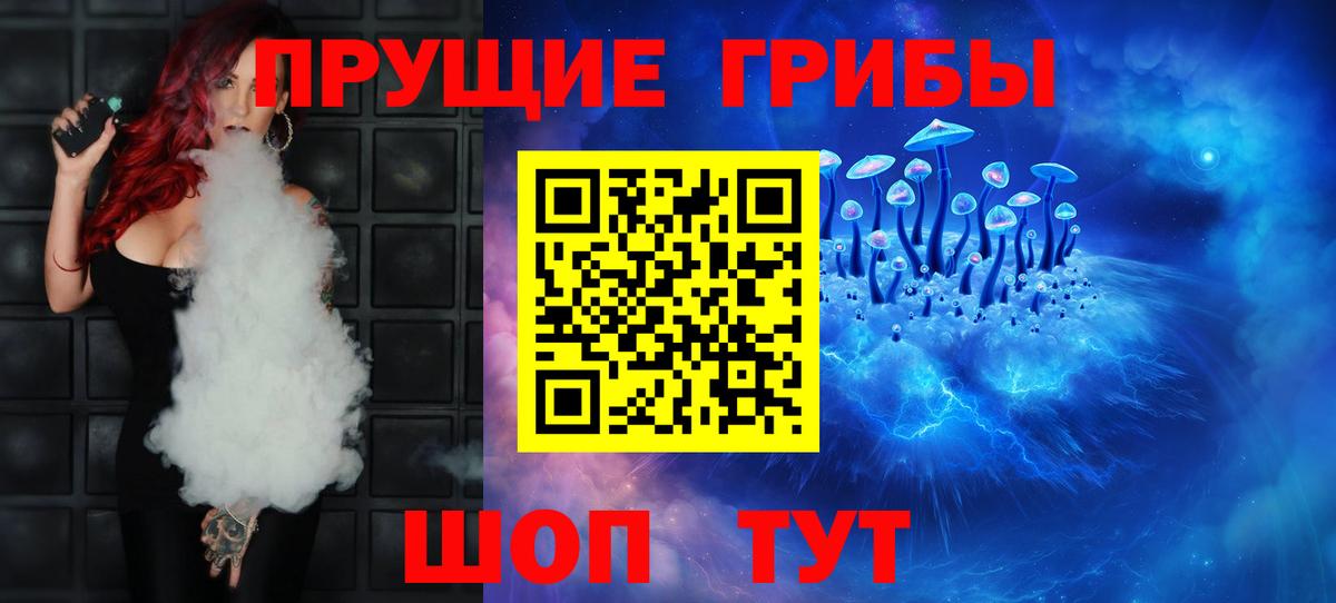 Псилоцибиновые грибы Psilocybe Туймазы